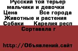 Русский той-терьер мальчики и девочки › Цена ­ 8 000 - Все города Животные и растения » Собаки   . Карелия респ.,Сортавала г.